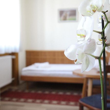Hotel Corvinus Zalaszentgrót Buitenkant foto