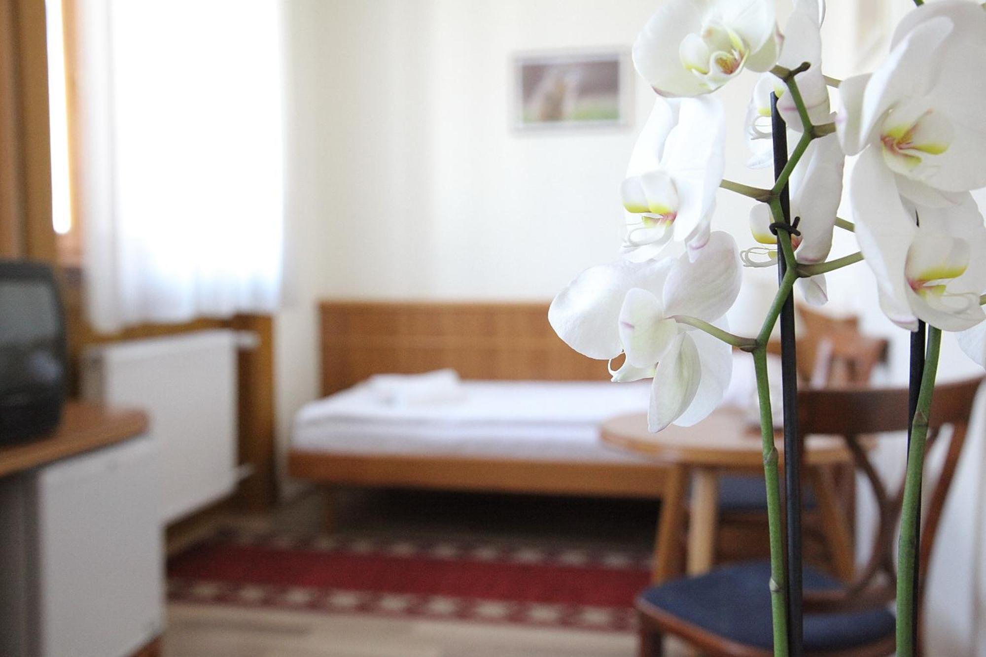Hotel Corvinus Zalaszentgrót Buitenkant foto